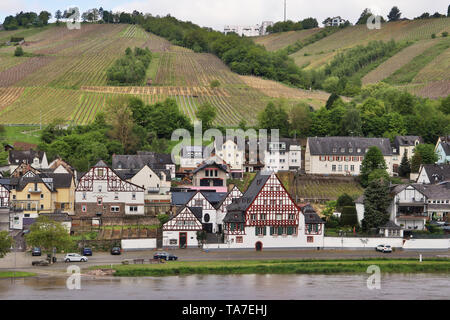 La ville allemande de Zell, sur la Moselle avec coteaux de vignes en arrière-plan Banque D'Images