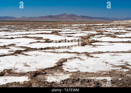 Le Bristol Dry Lake accumulation de sel sur la Route 66, près de Amboy, Californie, USA. Banque D'Images