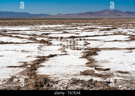 Le Bristol Dry Lake accumulation de sel sur la Route 66, près de Amboy, Californie, USA. Banque D'Images