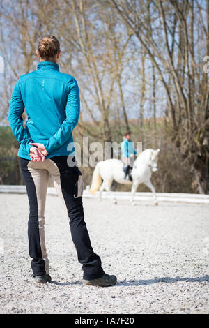 Lipizzan. Mare avec rider dans un trot sur place une circonscription avec formateur de les regarder. Allemagne Banque D'Images