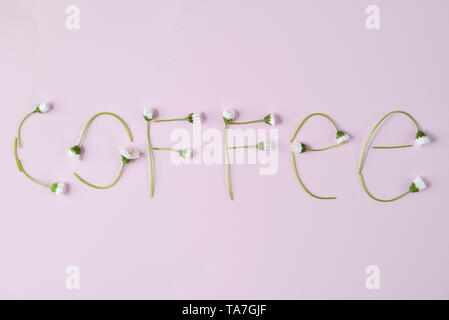 Café '' faite de fleurs de camomille sur fond rose. Belle composition créative avec des fleurs blanches. Mise à plat, vue du dessus, copy space Banque D'Images