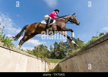 Poney Équitation allemande. Rider sur bay gelding effacement d'un obstacle lors d'une ride. Allemagne Banque D'Images