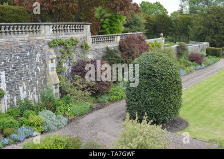 Les beaux jardins de Balcarres, Maison Colinsburgh, Fife, Scotland, mai 2019. Banque D'Images