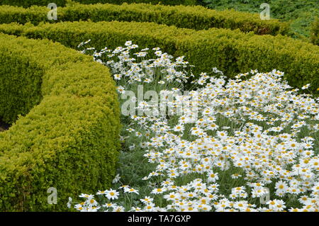 Les beaux jardins de Balcarres, Maison Colinsburgh, Fife, Scotland, mai 2019. Banque D'Images