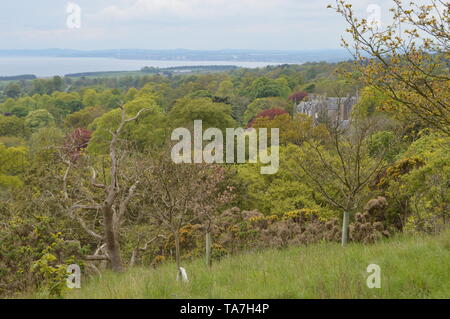 Vues splendides sur la falaise au-dessus de la Fife House et Jardins de Balcarres, Colinsburgh, Fife, Scotland, mai 2019. Banque D'Images