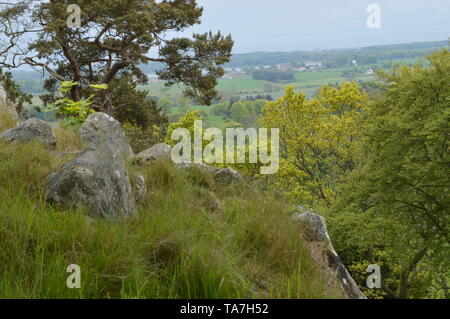 Vues splendides sur la falaise au-dessus de la Fife House et Jardins de Balcarres, Colinsburgh, Fife, Scotland, mai 2019. Banque D'Images