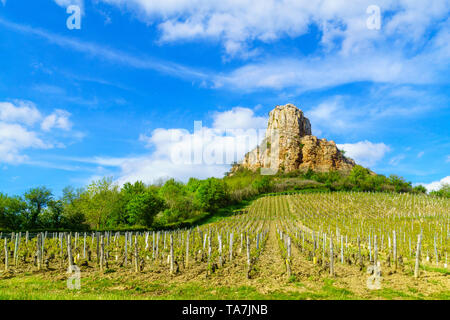 Vue sur la roche de Solutré (la roche), et des vignobles, dans Saône-et-Loire, Bourgogne, France Banque D'Images