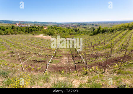 Paysage de collines de Valpolicella, la viticulture Italienne, Italie. Paysage rural Banque D'Images