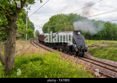 Une locomotive à vapeur Pacific heritage4 l'Union d'Afrique du Sud. Vu à Golborne Junction sur la West Coast Main Line. Banque D'Images