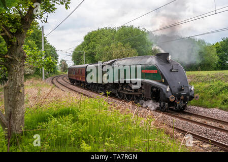 Une locomotive à vapeur Pacific heritage4 l'Union d'Afrique du Sud. Vu à Golborne Junction sur la West Coast Main Line. Banque D'Images