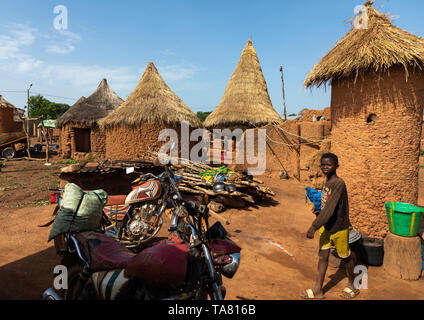 Greniers aux toits de chaume, district des Savanes, Niofoin, Côte d'Ivoire Banque D'Images