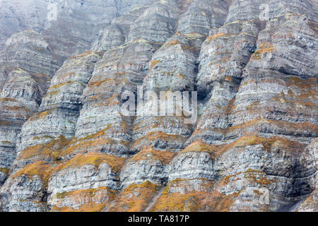 Billon ans formations rocheuses dentelées avec différentes mousse verte et de neige à l'intérieur, Svalbard, Norvège, Isfjorden Banque D'Images