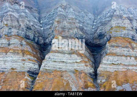 Billon ans formations rocheuses dentelées avec différentes mousse verte et de neige à l'intérieur, Svalbard, Norvège, Isfjorden Banque D'Images