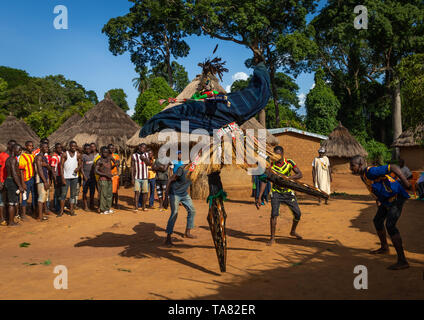 La grande danse avec pilotis appelé Kwuya Gblen-Gbe dans la tribu de Dan au cours d'une cérémonie, Bafing, Gboni, Côte d'Ivoire Banque D'Images