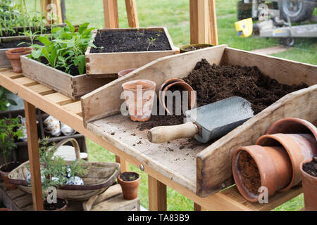 Le banc d'empotage dans une serre de la RHS Malvern Spring Show. Banque D'Images