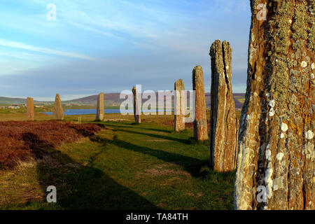 Orkney Islands, Mainland, les menhirs néolithiques de l'anneau de Shetlands au coucher du soleil l'Écosse 8 mai - 19 mai. Voyage à travers l'Écosse Foto Samantha Z Banque D'Images