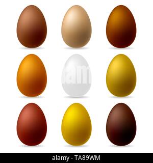 Ensemble de couleurs naturelles réalistes les oeufs de poule isolé sur fond blanc. Illustration de Vecteur