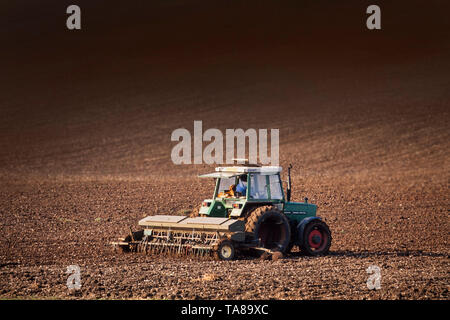 L'agriculture, le tracteur laboure un champ arable, grand soleil. Banque D'Images