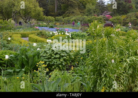 Les beaux jardins de Balcarres, Maison Colinsburgh, Fife, Scotland, mai 2019. Banque D'Images