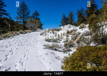 L'empreinte de neige sur une route de montagne solitaire Banque D'Images