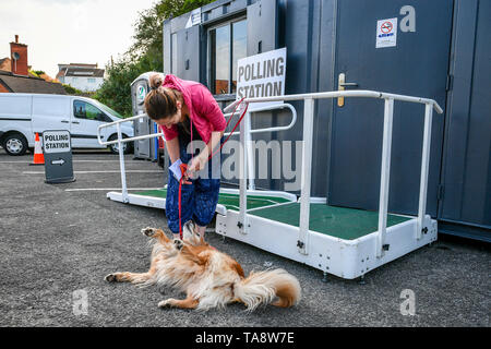 Natasha Collins-Daniel arrive à jeter son vote avec Riloh ses huit ans golden retriever dans un bureau de vote à Bristol en tant que chef d'électeurs aux urnes pour les élections du Parlement européen. Banque D'Images