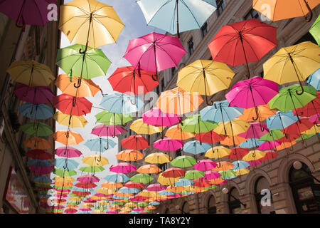 Décoration parasols colorés dans les rues de la ville de Timisoara, Roumanie, zone piétonne principale Banque D'Images