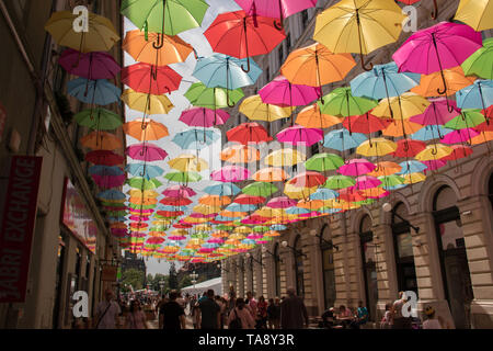 Décoration parasols colorés dans les rues de la ville de Timisoara, Roumanie, zone piétonne principale Banque D'Images