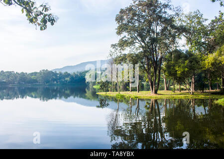 Paysage panoramique à couper le souffle sur le lac et arbres dans le réservoir, Ang Kaew Chiang Mai. Avec l'exemplaire de l'espace. Banque D'Images