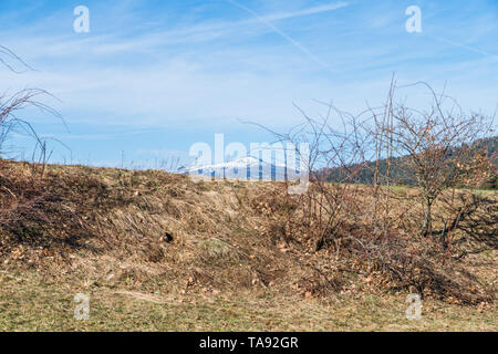 Vue sur la montagne couverte de neige Rachel dans la forêt bavaroise au printemps, Allemagne Banque D'Images