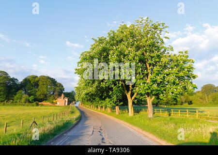 Colton Road est une route étroite qui mène à l'entrée de Temple Newsam Estate à Leeds, qui est une attraction touristique gratuite Banque D'Images