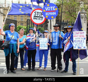 Anti-Brexit manifestants vu holding'Union européenne drapeaux et des pancartes à l'extérieur de la Maison du Parlement à Westminster, Londres à la veille des élections du Parlement européen. Banque D'Images