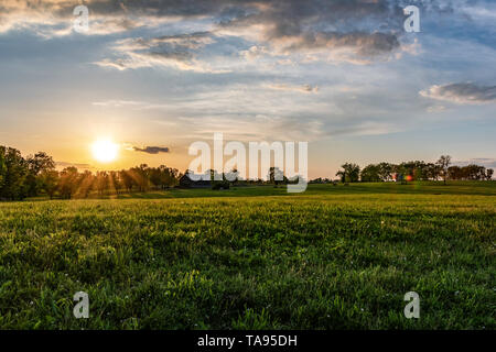 Kentucky horse farm au coucher du soleil sur un soir de printemps. Grange et chevaux qui broutent à l'extrémité de la pâturage bluegrass allumé avec heure d'or du soleil. Banque D'Images