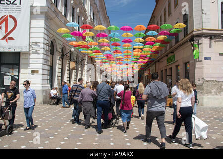 Décoration parasols colorés dans les rues de la ville de Timisoara, Roumanie Banque D'Images