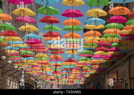 Décoration parasols colorés dans les rues de la ville de Timisoara, Roumanie Banque D'Images