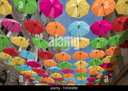 Décoration parasols colorés dans les rues de la ville de Timisoara, Roumanie Banque D'Images