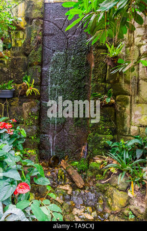 Cascade de streaming dans un jardin tropical, beau jardin architecture, nature background Banque D'Images