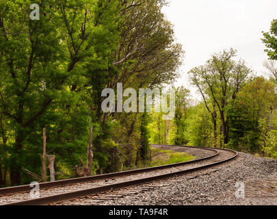 La voie du train à travers une forêt en courbe Banque D'Images