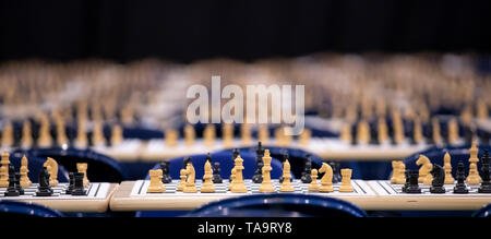 Hambourg, Allemagne. 23 mai, 2019. Avant le tournoi d'échecs, les conseils sont mis en place sur les tables dans l'arène. Barclaycard Autour de 4000 élèves prennent part à la 61e édition du tournoi. Selon l'organisateur, c'est le plus grand tournoi d'échecs. Crédit : Felix König/dpa/Alamy Live News Banque D'Images