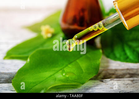 Les cosmétiques à base de plantes bio et concept de médecine alternative Banque D'Images