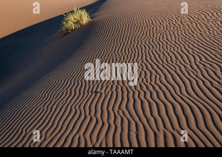 Dunes du désert du namib en Namibie. Banque D'Images