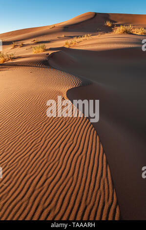 Dunes du désert du namib en Namibie. Banque D'Images