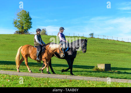 Les femmes faisant une visite détendue sur leurs chevaux dans Falltime (Temps de Banque D'Images