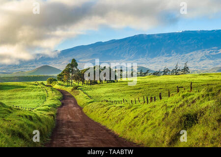 Route de mana, Waimea, Île d'Hawaï. Banque D'Images