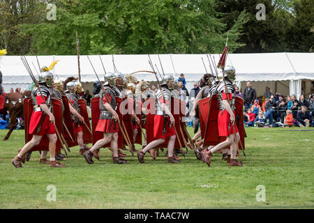 Ermine Street Guard montrent l'armée romaine impériale au Wrest Park, Angleterre Banque D'Images