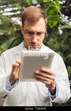 Beau concentré scientifique en blouse blanche et verres using digital tablet in orangerie Banque D'Images