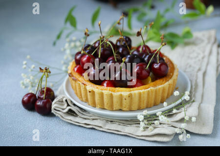 Mini dessert tarte de fromage cottage, fruits et baies Banque D'Images