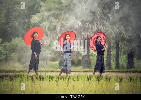 Les femmes en Asie agriculteur en champ de riz / Portrait de trois belles jeunes femmes asiatiques bonheur sourire parapluie en main tenir l'agriculture dans la campagne Banque D'Images