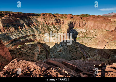 En cygne Capitol Reef National Park, Utah, USA, Amérique du Nord Banque D'Images