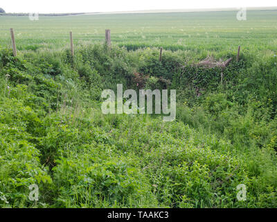 L'un des ressorts de la rivière début Kennett à elle est la source à Swallowhead printemps près d'Avebury, Wiltshire, Royaume-Uni Banque D'Images