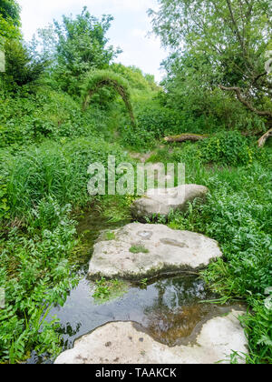 L'un des ressorts de la rivière début Kennett à elle est la source à Swallowhead printemps près d'Avebury, Wiltshire, Royaume-Uni Banque D'Images